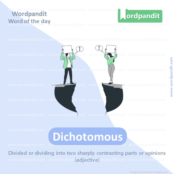 Amateurs Vocabulary Post