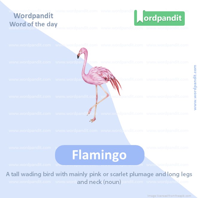 Continuum Vocabulary Post