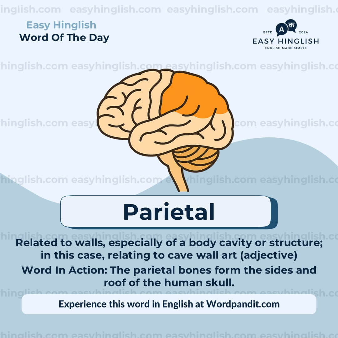Continuum Vocabulary Post