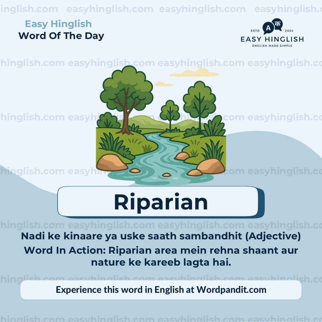 Reckon Vocabulary Post