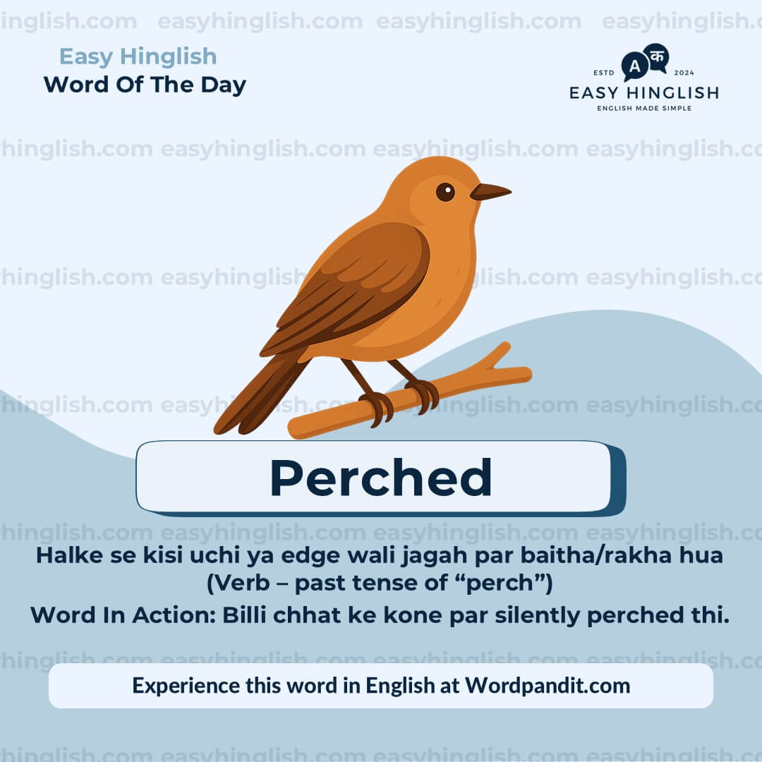 Amateurs Vocabulary Post