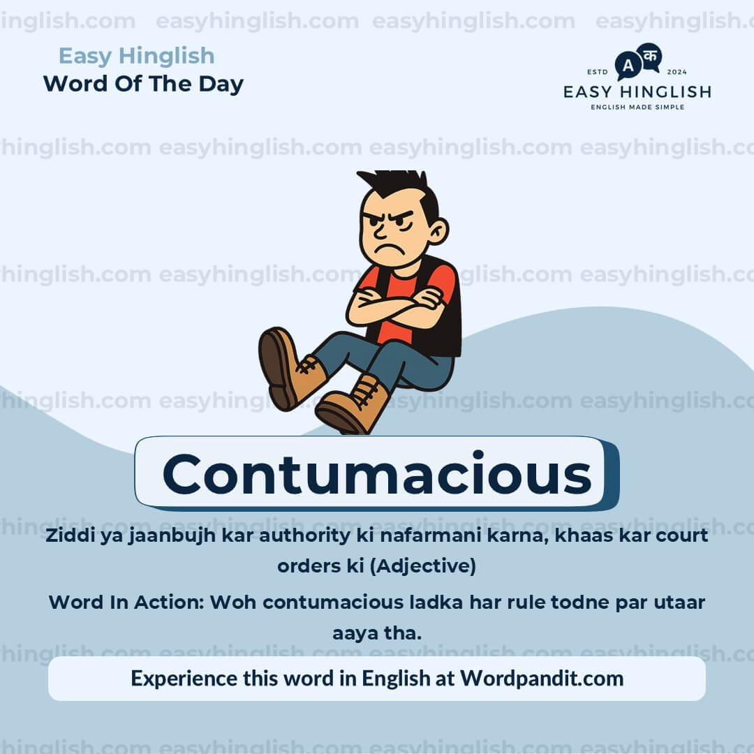 Contumacious Amateurs Vocabulary Post