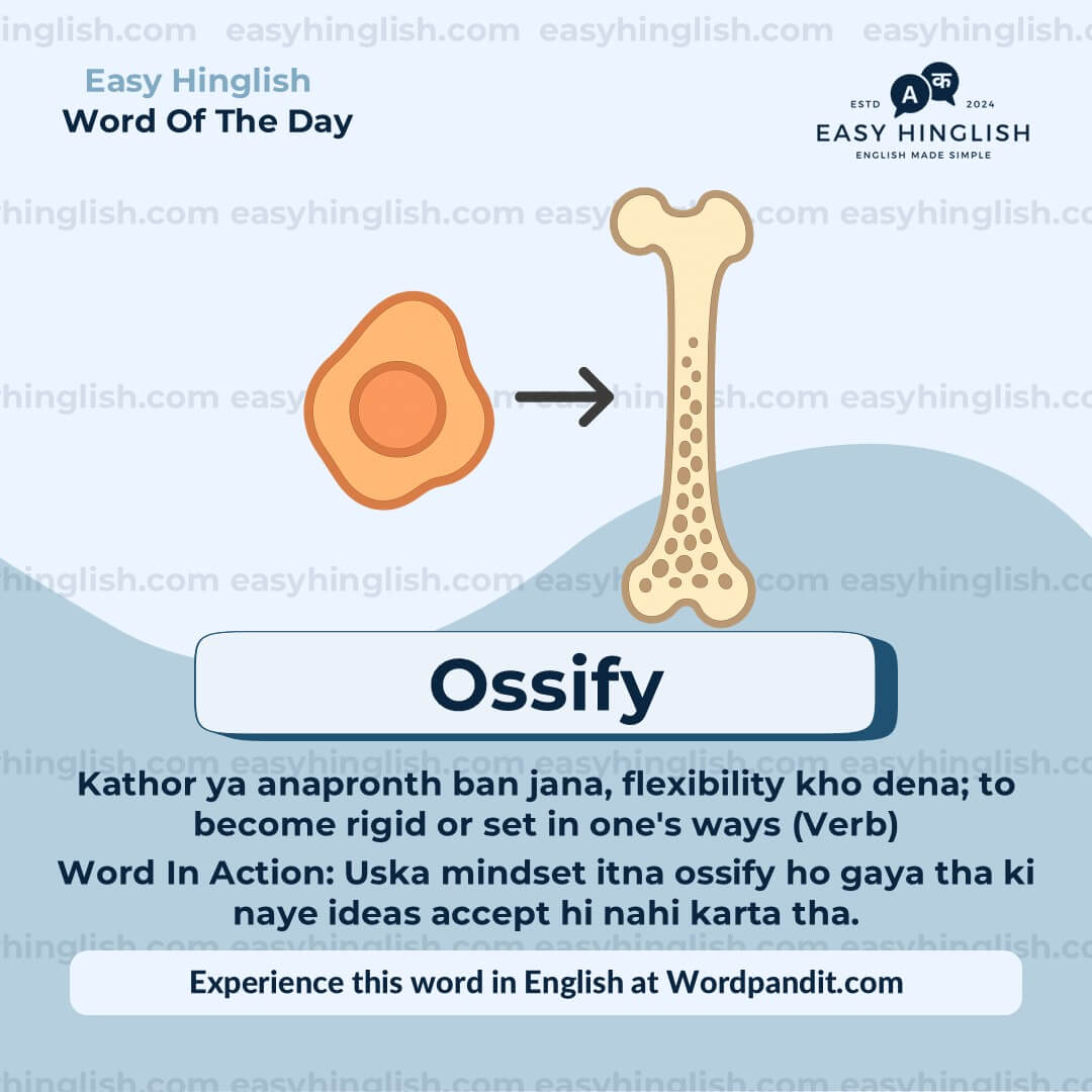 Ossify-2 Continuum Vocabulary Post